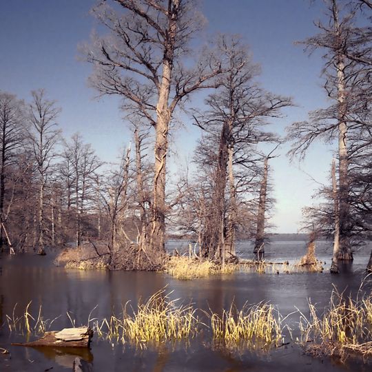 Lac Reelfoot