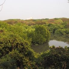 Sanctuaire d'oiseaux de Mangalavanam