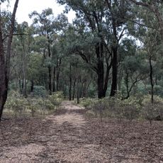 Jindalee National Park
