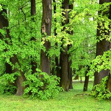 Park Kombatantów in Warsaw
