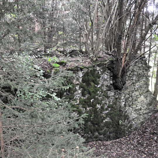 Schlossruine Pfannhof