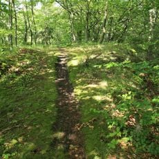 Cultural heritage D-4-6334-0075 in Betzenstein
