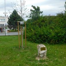 Lípa svobody v zámeckém parku ve Světlé nad Sázavou