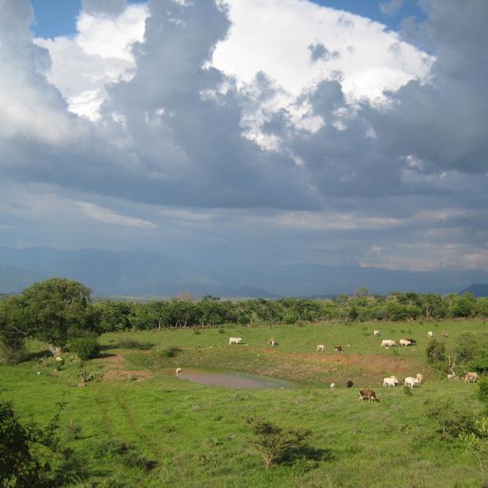 Santa María del Oro Municipality