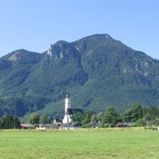 Großer Riesenkopf