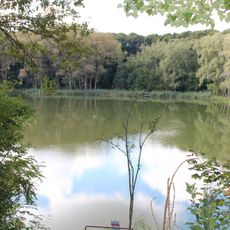 Pozostałości parku