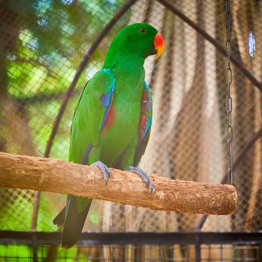 Parc exotique de Nguerigne