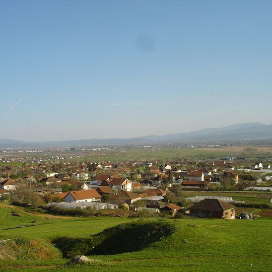 Brnjarci