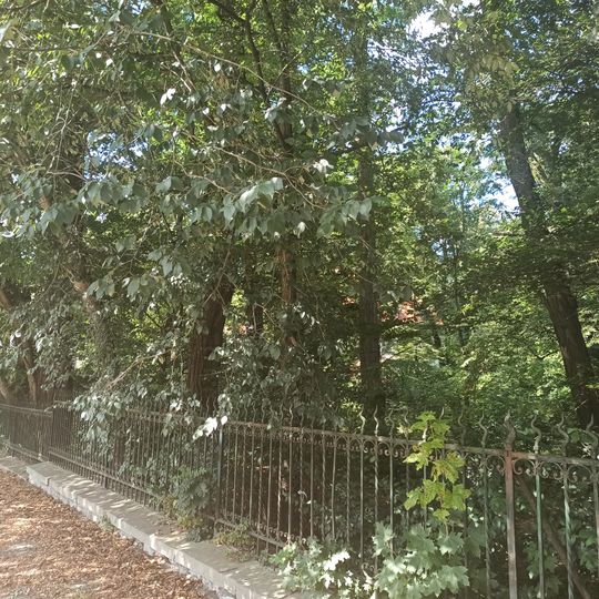 Park in Kujawy, Poland