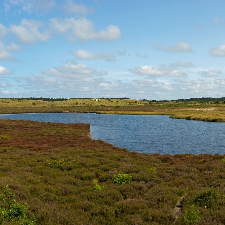 Schoorl-klittene