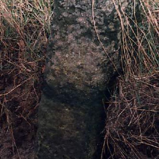 Milestone, Yarmouth Rd 100yds W of jct with Fritton Rd