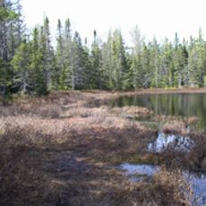 Robert T. Brown Nature Sanctuary