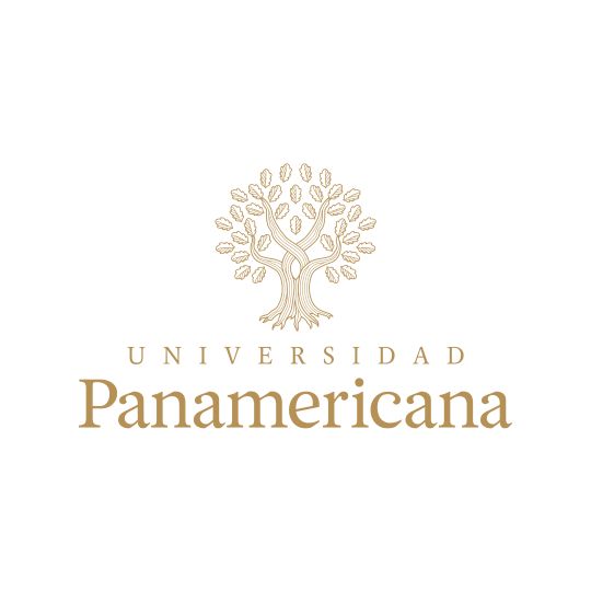 Panamerican University