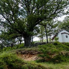 St. Petka Church