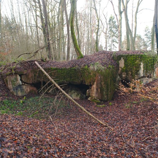Regelbau 10 in Riegelsberg
