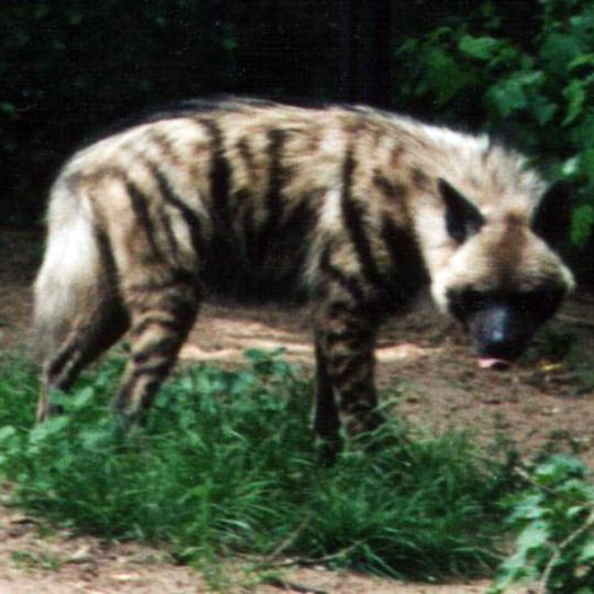 Parc national de Mupa