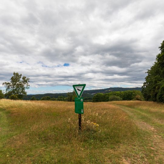 Hörbacher Viehweide