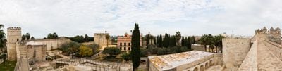 Panoramik Görünüm 1