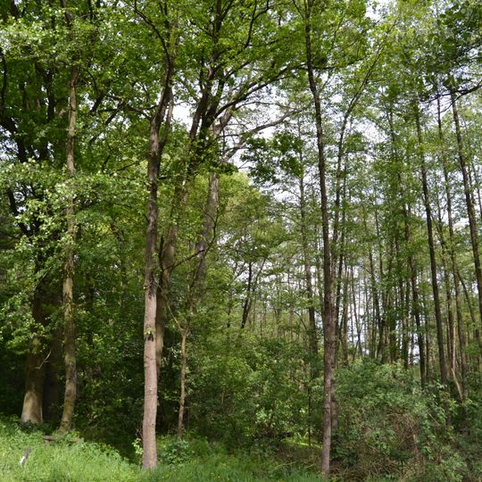 Niederungssystem des Neuenhagener Mühlenfließes und seiner Vorfluter