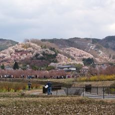 Hanamiyama Park