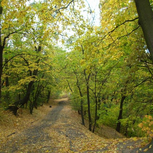 Park on Wolności Hill, Bydgoszcz