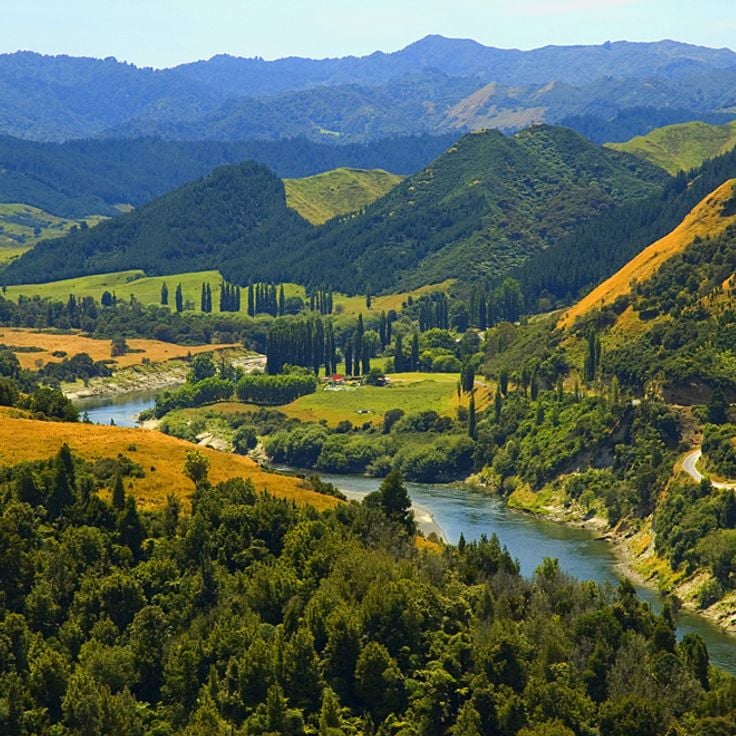 Whanganui National Park