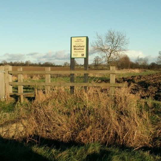 Mickfield Meadow