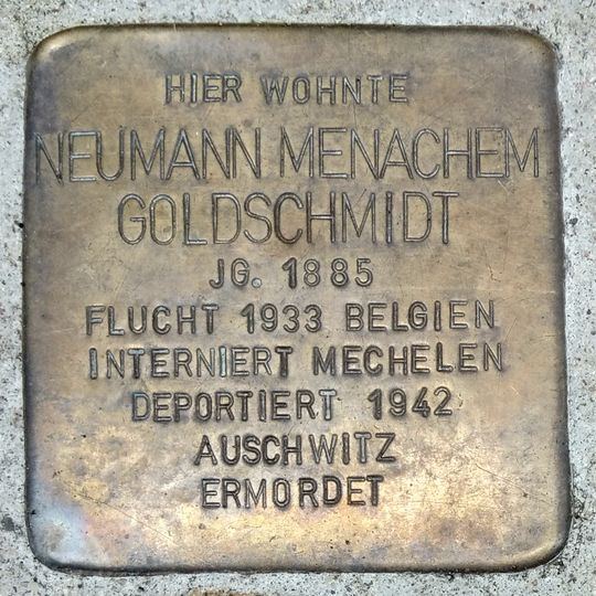 Stolperstein für Neumann Menachem Goldschmidt