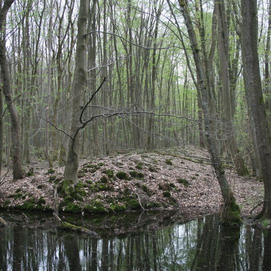 Erlensee bei Erlensee