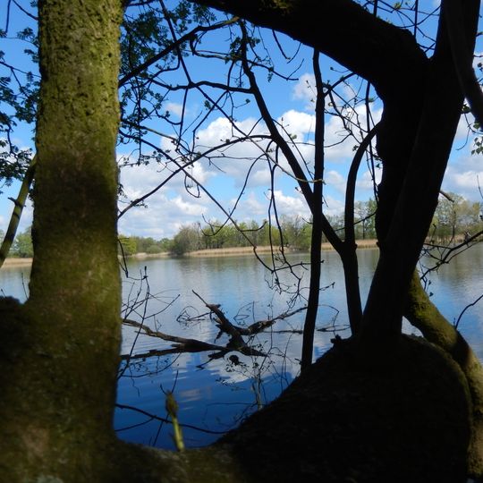 Oberlausitzer Heide- und Teichlandschaft