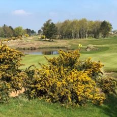 Golf Club Föhr e.V.