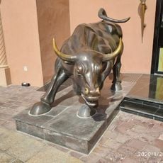 Bull