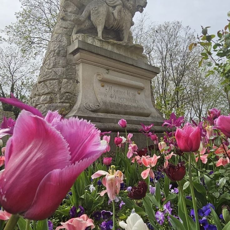 Cimetière des Chiens