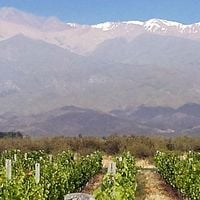 Mendoza eyaleti