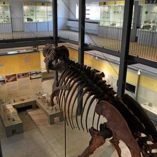 Museo di paleontologia e speleologia "E. A. Martel"