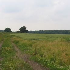 Burbage Wood and Aston Firs