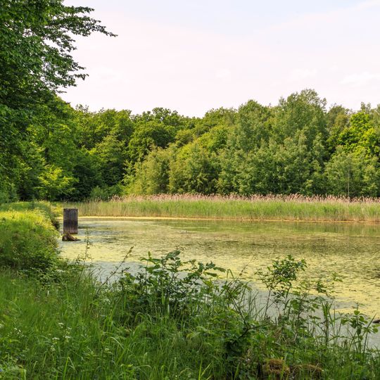 Kanice - lesní rybník