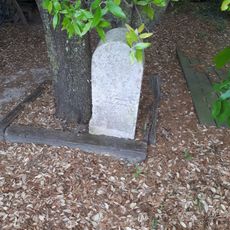 Stele