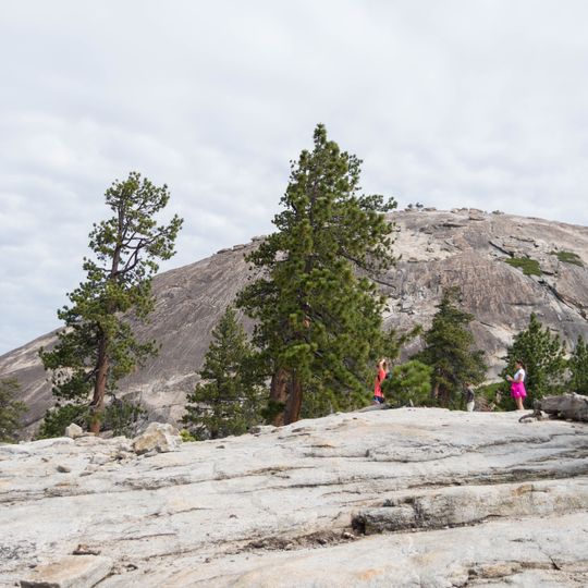 Sentinel Dome