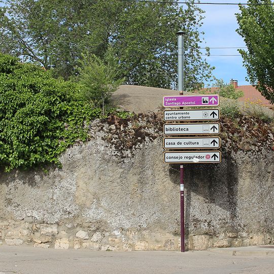Palace of the Counts of Benavente, Cigales