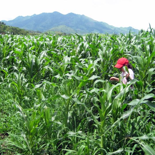 Nueva Segovia Department