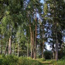 Парк (Бережки)