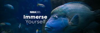 National Marine Aquarium, Plymouth Profile Cover