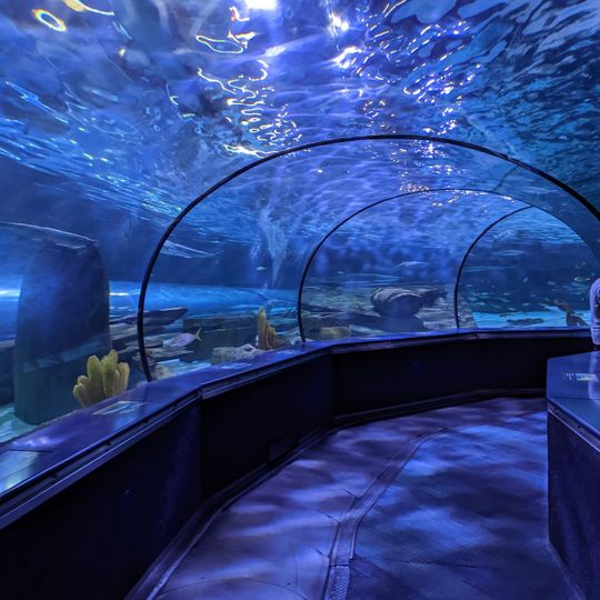 Ripley's Aquarium of Myrtle Beach