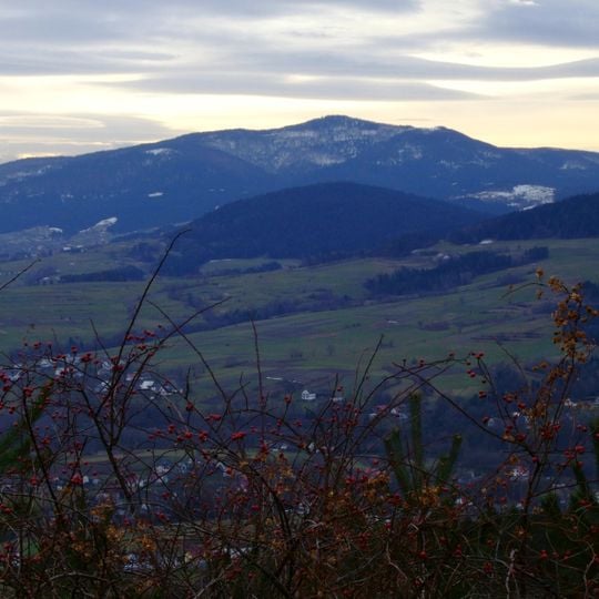 Rezerwat przyrody Mogielica