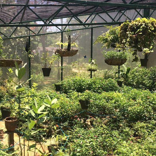 Quinta de los Molinos