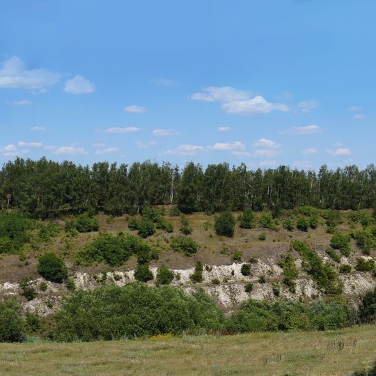 Розріз гринчукської підсвіти