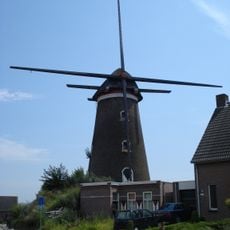 De Korenbloem