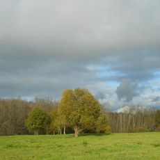 Alexander Dacha park