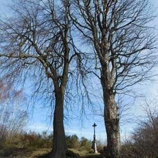 Kříž naproti domu čp. 65 v Šimanově